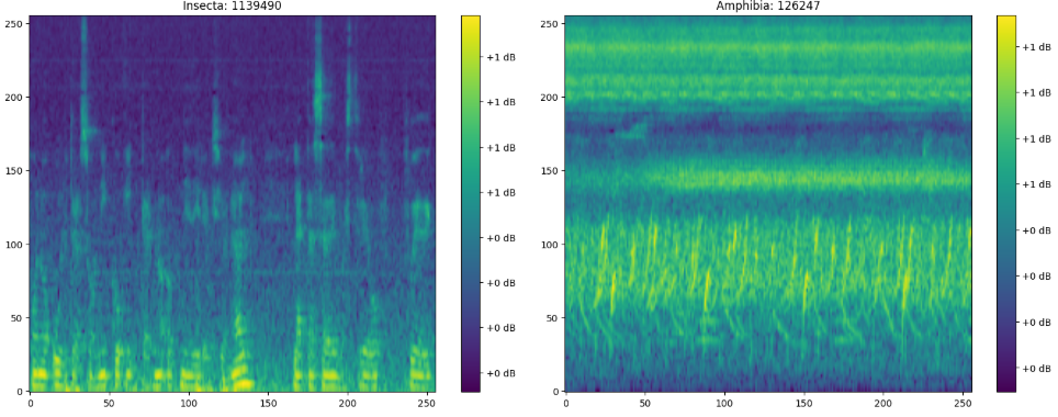 [BirdCLEF+] Dataset, Mel’s Spectrogram